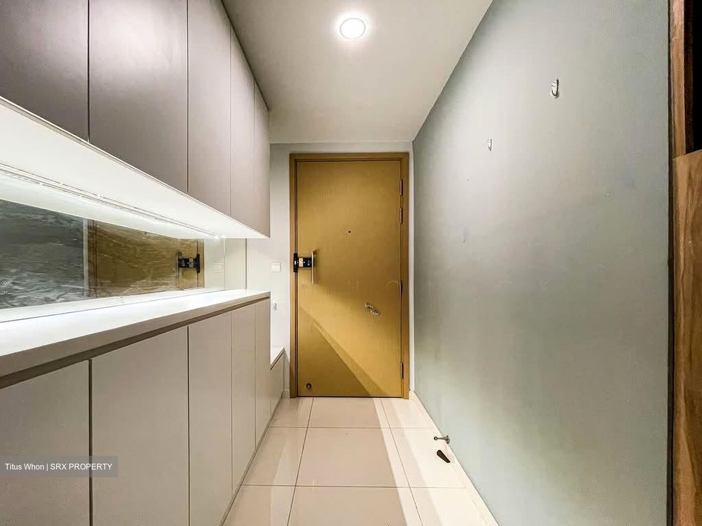 Twin Waterfalls (D19), Condominium #589260421